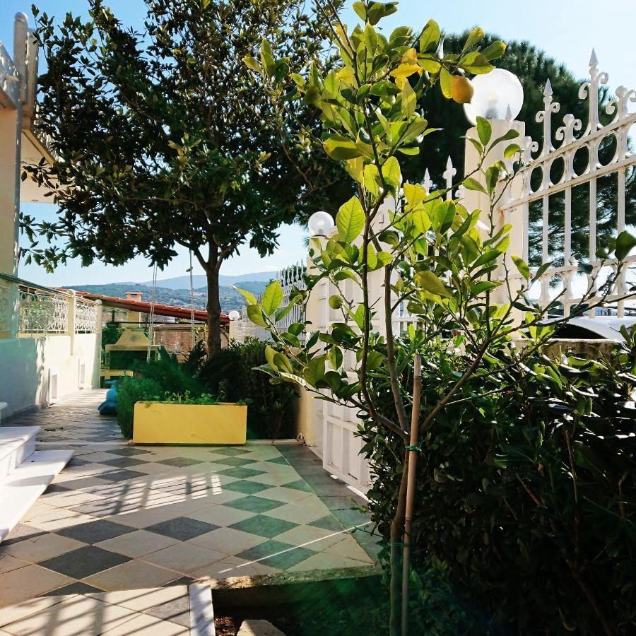 Villa Filoxenia All Seasons, Near Airport, Sea, Athens Ajía Marína Kültér fotó
